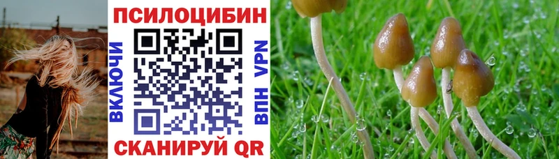 Псилоцибиновые грибы ЛСД  Тосно 
